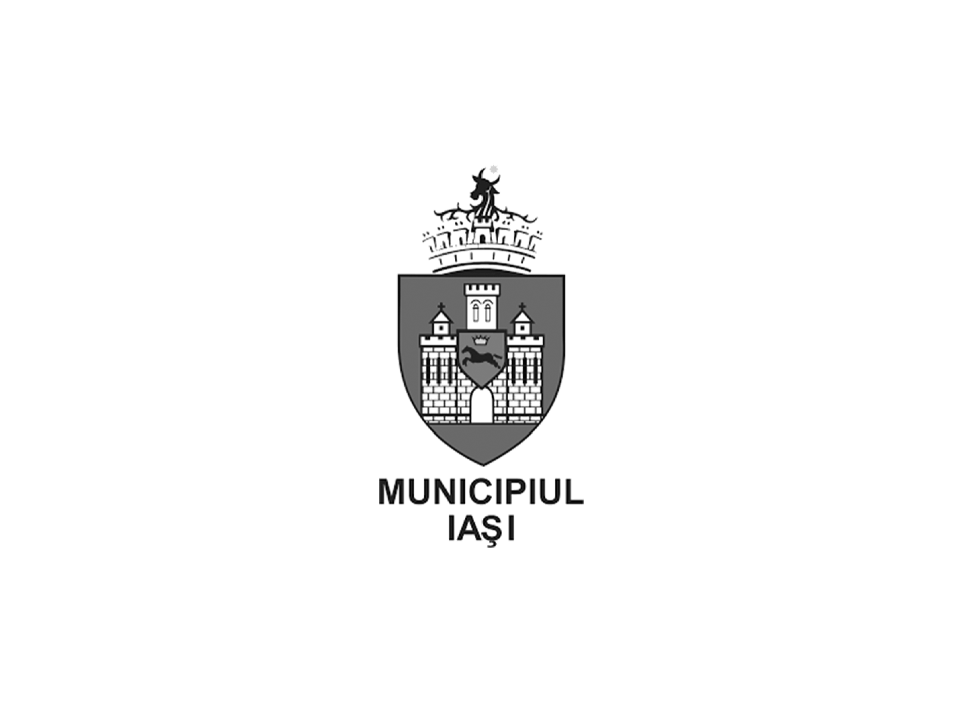 Primăria Muncipiului Iași